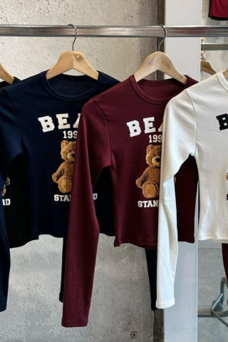 REMERA RIBB ML