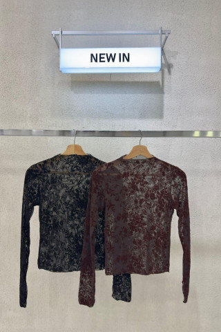 TOP ML FLOG (FLORES] - Art.43